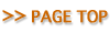 pagetop